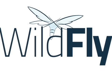 Curso de WildFly en Madrid, Barcelona y Online