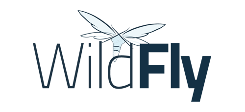 Curso de WildFly en Madrid, Barcelona y Online