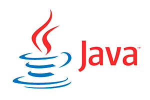 Máster Java Online
